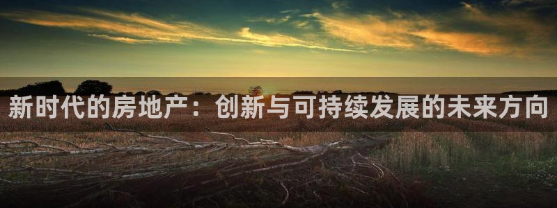 新宝_5：新时代的房地产：创新与可持续发展的未来方向