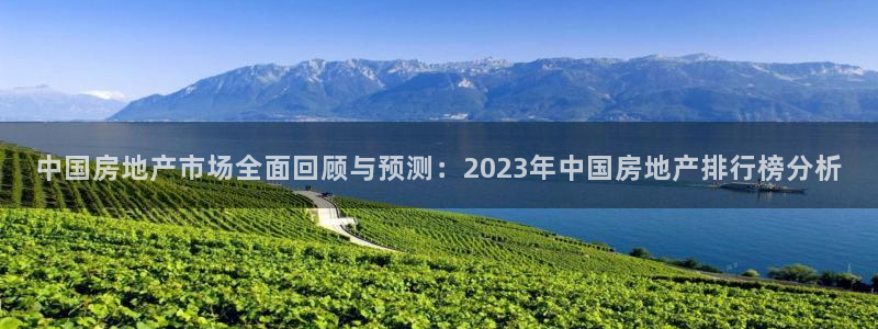 新宝5怎么代理：中国房地产市场全面回顾与预测：2023年中国