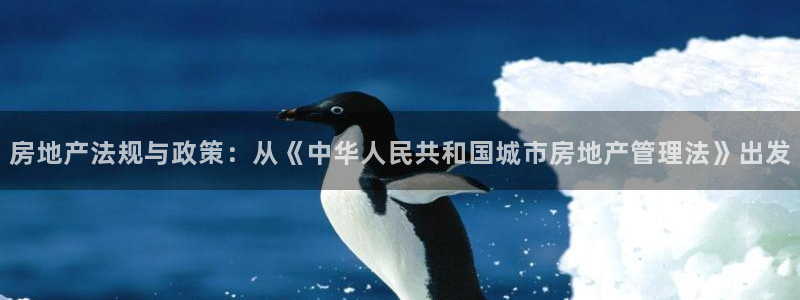 新宝5开户：房地产法规与政策：从《中华人民共和国城市房地产管