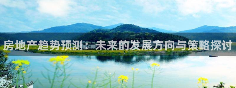 新宝那2O5O5O：房地产趋势预测：未来的发展方向与策略探讨