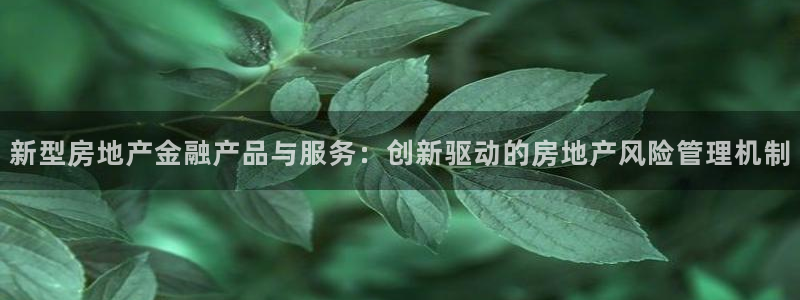 新宝5下载网址