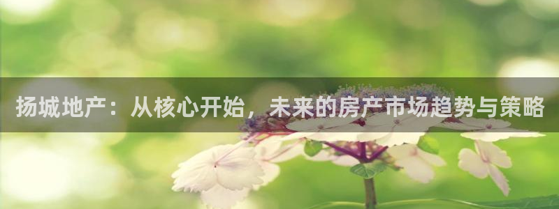 新宝5X：扬城地产：从核心开始，未来的房产市场趋势与策略