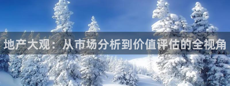 新宝5娱乐同：地产大观：从市场分析到价值评估的全视角