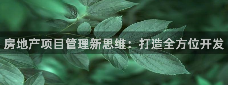 新宝5口67五壹叁八：房地产项目管理新思维：打造全方位开发