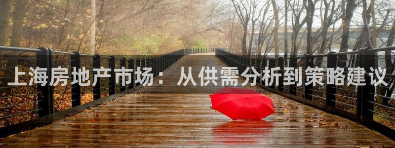 新宝5浗维33 300：上海房地产市场：从供需分析到策略建议