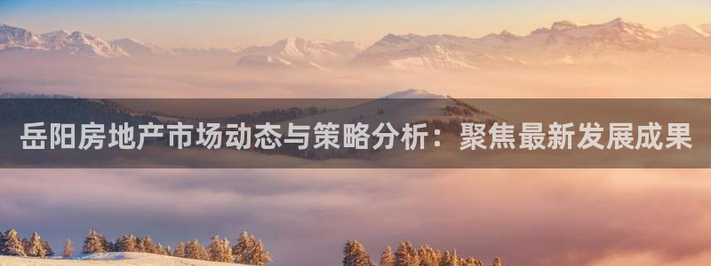 新宝速5：岳阳房地产市场动态与策略分析：聚焦最新发展成果