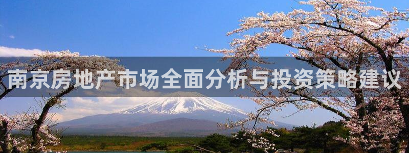 新宝5手机登录：南京房地产市场全面分析与投资策略建议