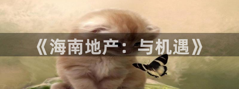 新宝5湫333 00：《海南地产：与机遇》