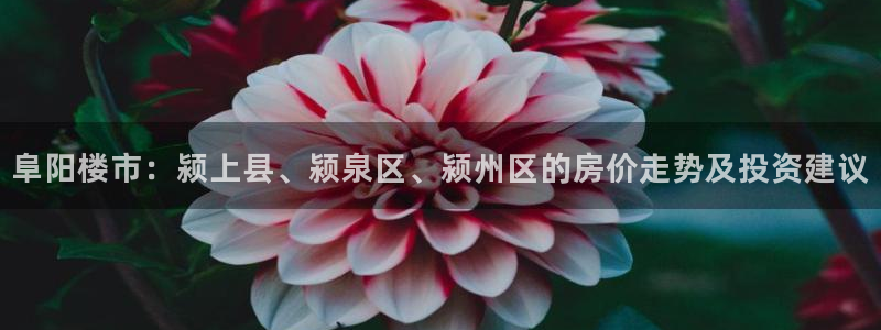 新宝5如何注册：阜阳楼市：颍上县、颍泉区、颍州区的房价走势及