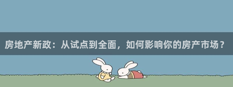 新宝5娱乐招商：房地产新政：从试点到全面，如何影响你的房产市