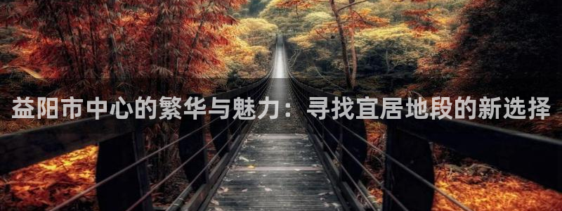新宝5蒋74OOO5：益阳市中心的繁华与魅力：寻找宜居地段的