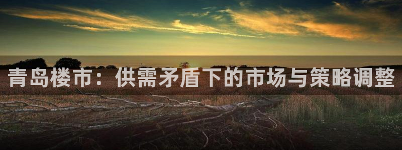 新宝5官网霸：青岛楼市：供需矛盾下的市场与策略调整