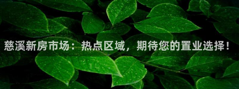 新宝5娱乐登陆：慈溪新房市场：热点区域，期待您的置业选择！