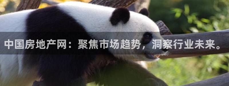 新宝5注册霸：中国房地产网：聚焦市场趋势，洞察行业未来。