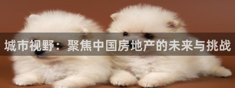 新宝5娱乐注册：城市视野：聚焦中国房地产的未来与挑战