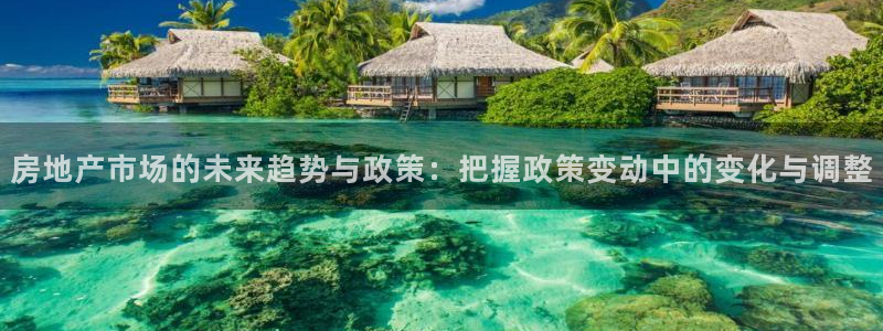 新宝5客户端登录：房地产市场的未来趋势与政策：把握政策变动中