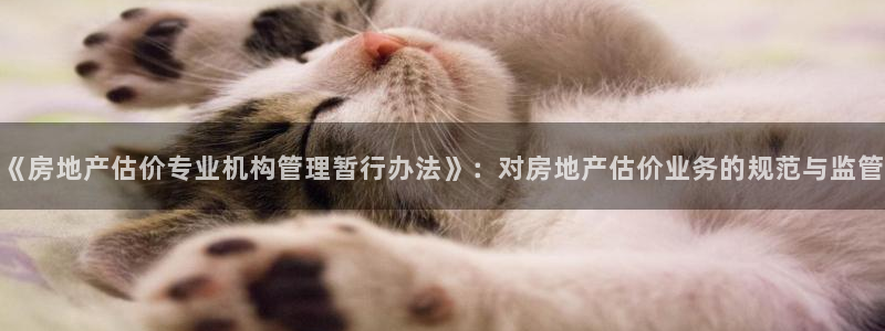 新宝5招商部：《房地产估价专业机构管理暂行办法》：对房地产估
