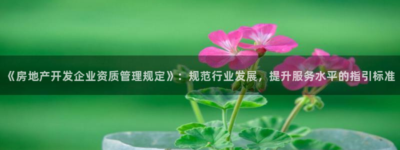 新宝5口67五壹叁八：《房地产开发企业资质管理规定》：规范行