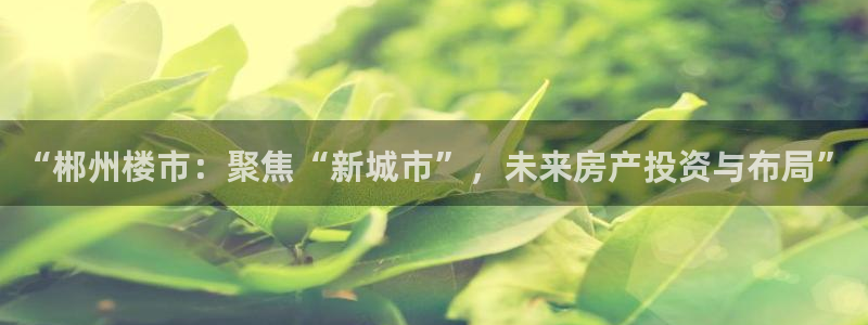 新宝5是谁的：“郴州楼市：聚焦“新城市”，未来房产投资与布局