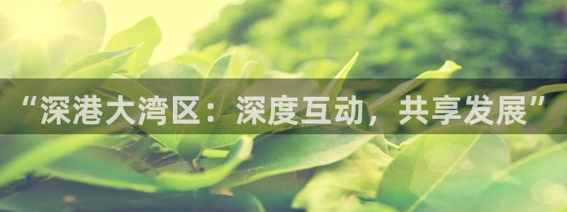 新宝5注册：“深港大湾区：深度互动，共享发展”