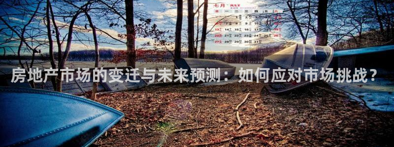 新宝5上来77542：房地产市场的变迁与未来预测：如何应对市
