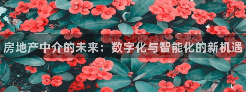 新宝5-测速：房地产中介的未来：数字化与智能化的新机遇