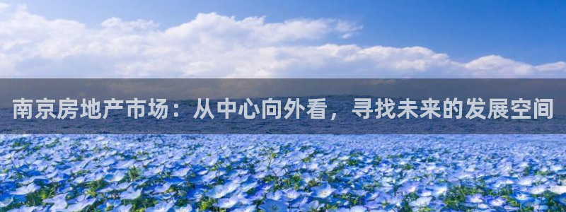 新宝rm5：南京房地产市场：从中心向外看，寻找未来的发展空间