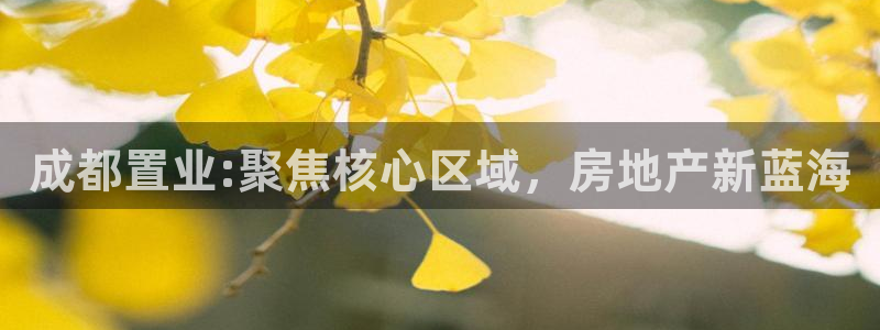 新宝5平台登录下载软件：成都置业:聚焦核心区域，房地产新蓝海
