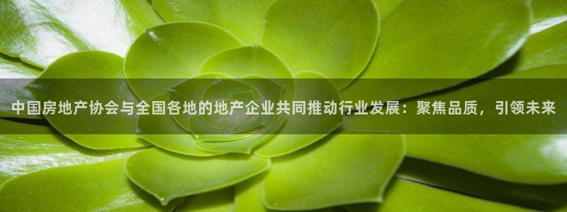 新宝5官网霸：中国房地产协会与全国各地的地产企业共同推动行业