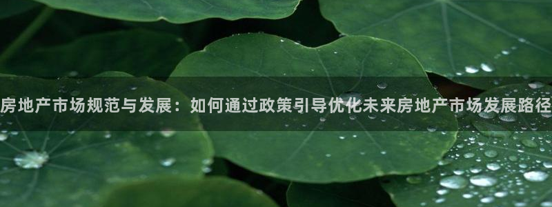 新宝5官方网站：房地产市场规范与发展：如何通过政策引导优化未