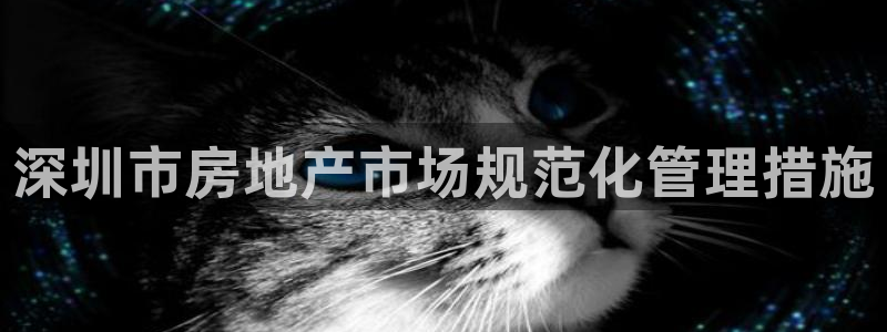 新宝5现在还能玩吗：深圳市房地产市场规范化管理措施