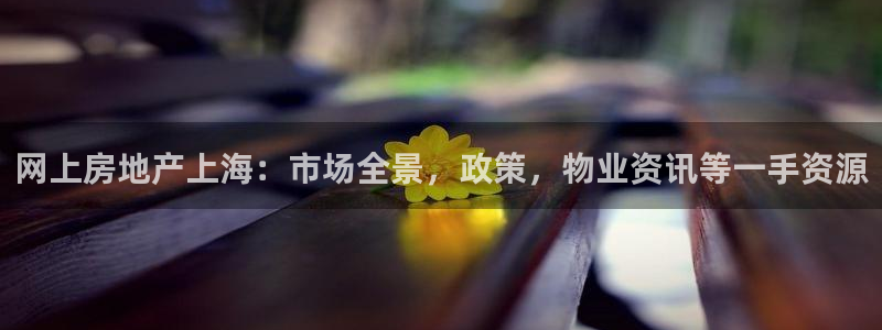 新宝5谠631257：网上房地产上海：市场全景，政策，物业资