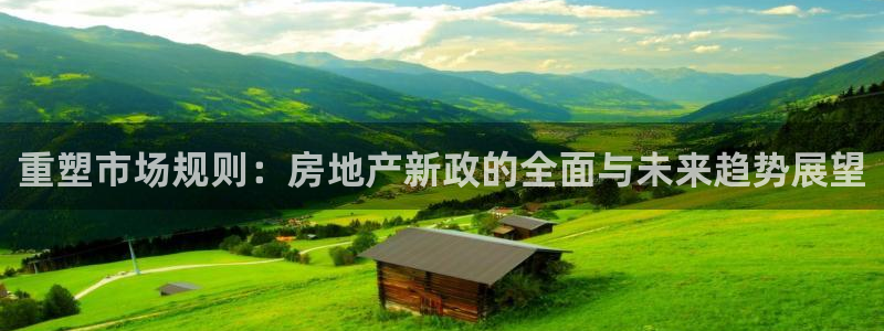 新宝5彩票平台登陆：重塑市场规则：房地产新政的全面与未来趋势