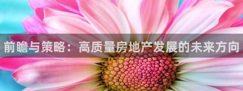 新宝5骗术：前瞻与策略：高质量房地产发展的未来方向