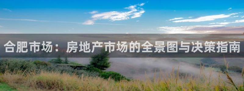 新宝5巅峰：合肥市场：房地产市场的全景图与决策指南