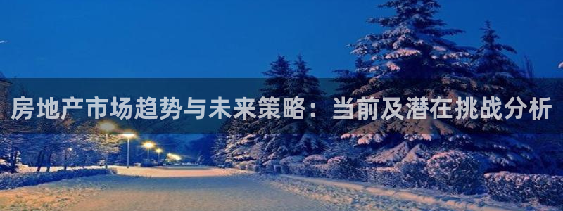 新宝5娱乐登陆：房地产市场趋势与未来策略：当前及潜在挑战分析