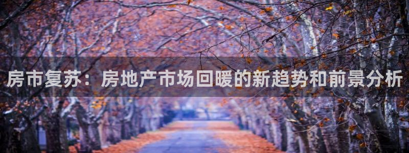 新宝5登陆地址：房市复苏：房地产市场回暖的新趋势和前景分析