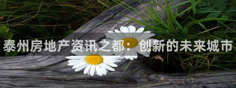 新宝5娱乐注：泰州房地产资讯之都：创新的未来城市