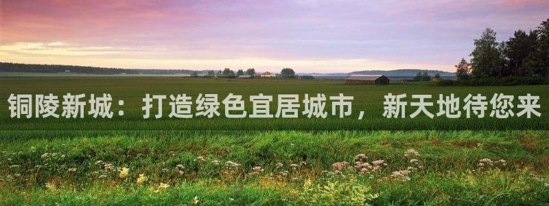 新宝5登录霸：铜陵新城：打造绿色宜居城市，新天地待您来