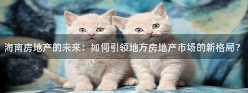 新宝5为啥开：海南房地产的未来：如何引领地方房地产市场的新格