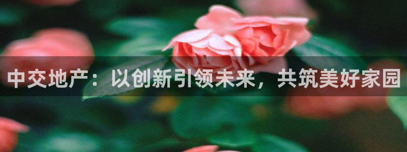 新宝5源码：中交地产：以创新引领未来，共筑美好家园