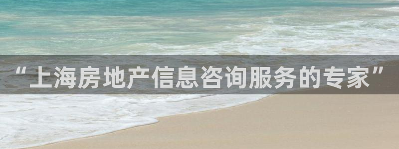 新宝5为啥开：“上海房地产信息咨询服务的专家”
