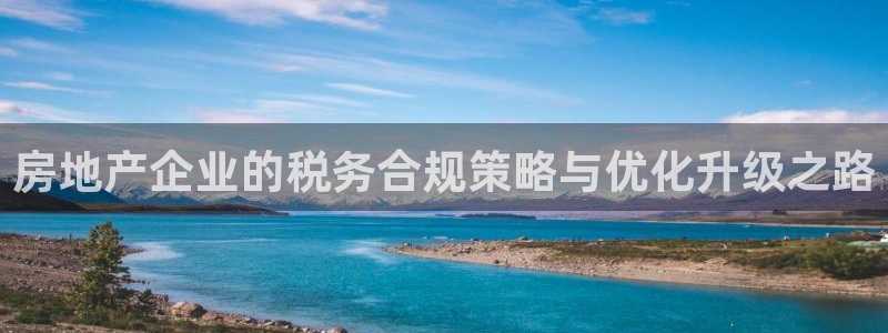 新宝m2O5O5O：房地产企业的税务合规策略与优化升级之路