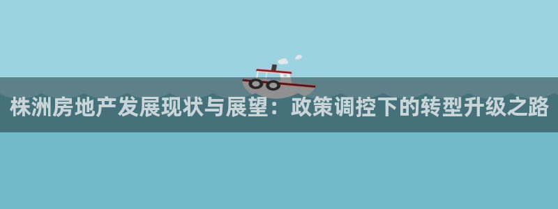 新宝5公司：株洲房地产发展现状与展望：政策调控下的转型升级之