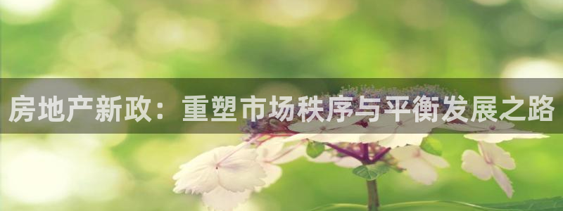 新宝5娱乐同：房地产新政：重塑市场秩序与平衡发展之路