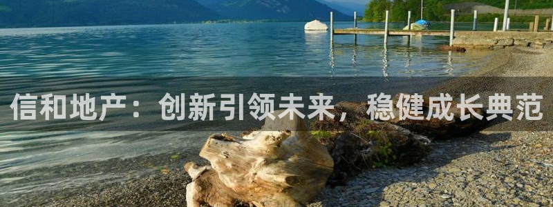 新宝5 888：信和地产：创新引领未来，稳健成长典范