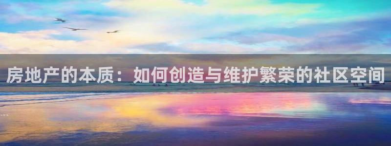 新宝5招商222111：房地产的本质：如何创造与维护繁荣的社