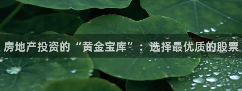 新宝5平台霸：房地产投资的“黄金宝库”：选择最优质的股票