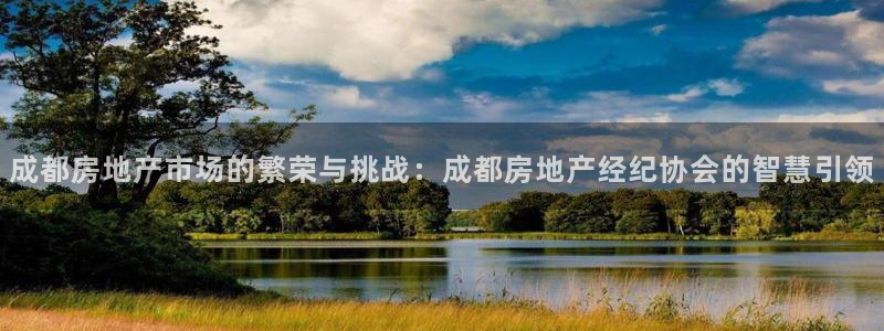 新宝5手机登录：成都房地产市场的繁荣与挑战：成都房地产经纪协