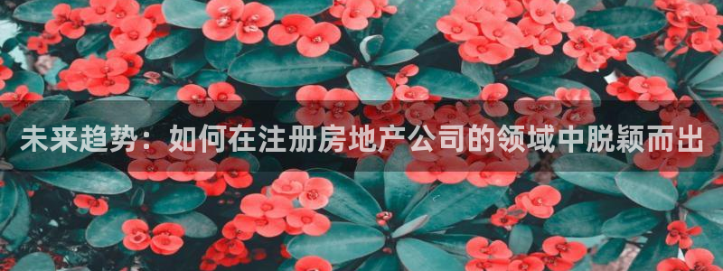 新宝5首页：未来趋势：如何在注册房地产公司的领域中脱颖而出